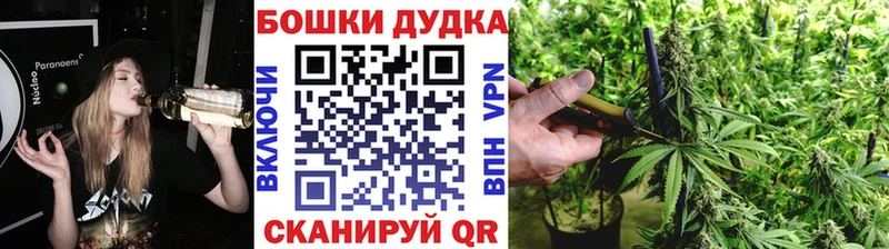 Бошки Шишки Ставрополь