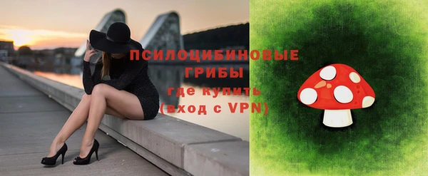 крисы Алзамай