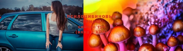 соль ск Алексин