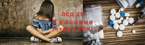 крисы Алзамай