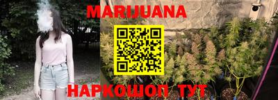 индика Тара