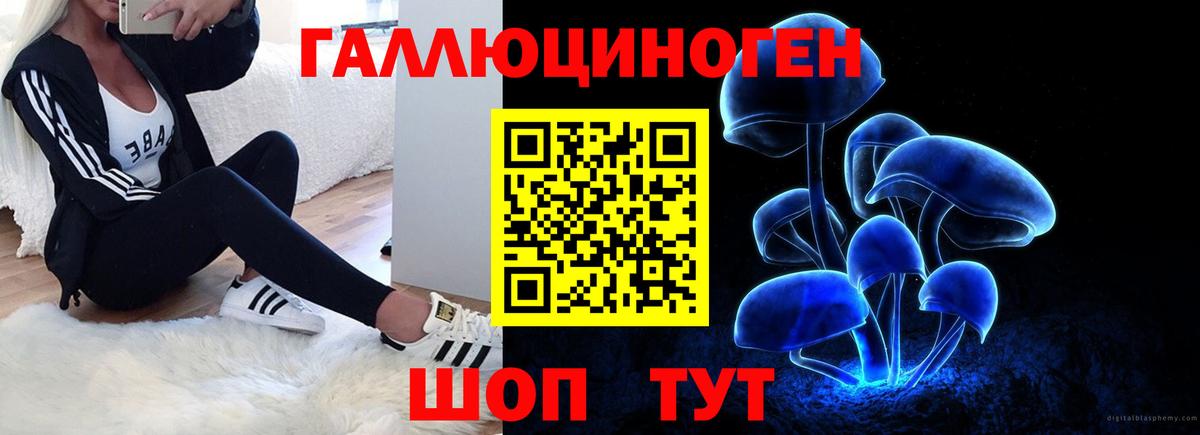 Ставрополь  Псилоцибиновые грибы Magic Shrooms  Вход с VPN  Псилоцибиновые грибы Psilocybe 